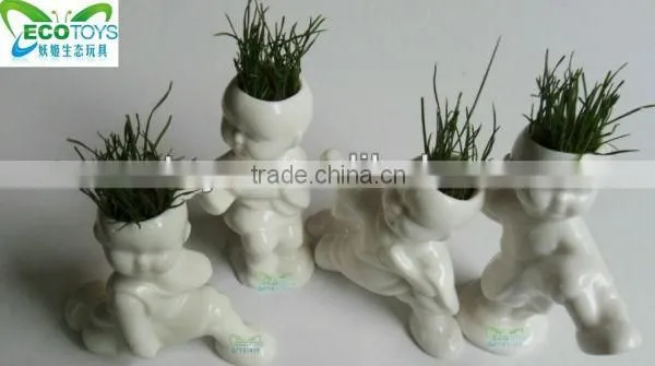 Kungfu grass doll-Shaolin serial pugilism