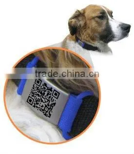 personalized dog training pet collar with ID tag