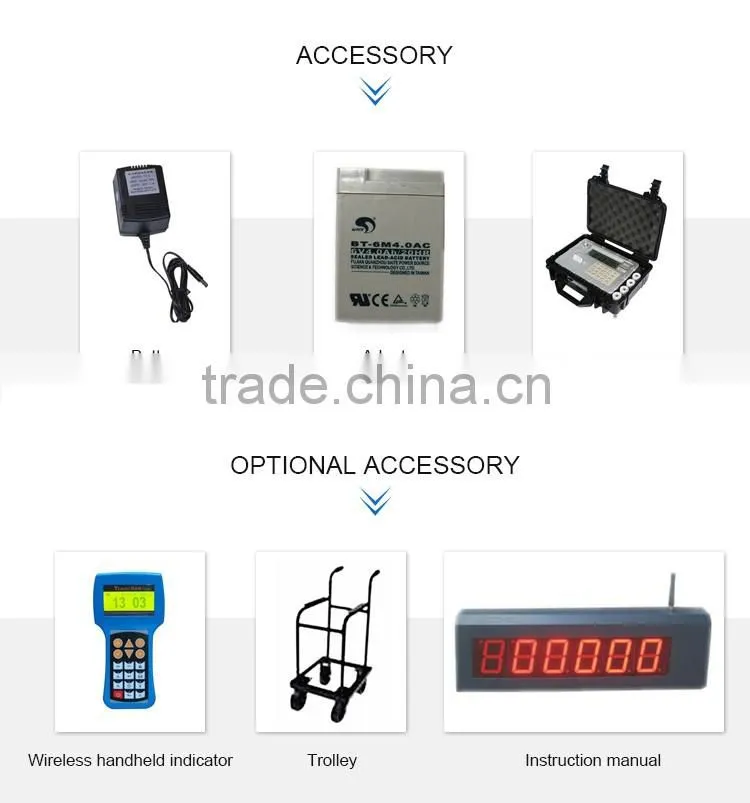 Digital Weighing OCS Wireless Printing Crane Scale OCS-50T