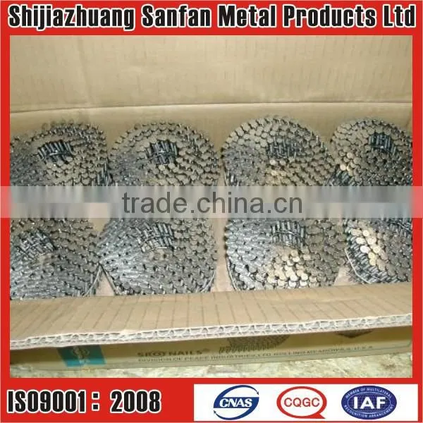 wire weld wooden pallet coil nail(manufacturer)