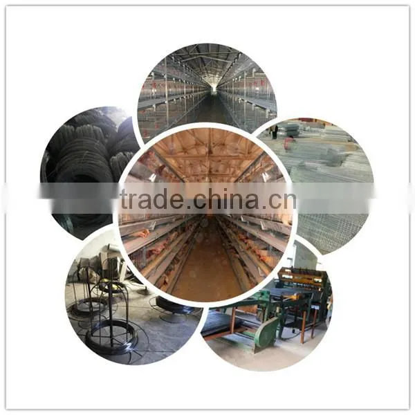 H type automatic chicken cage