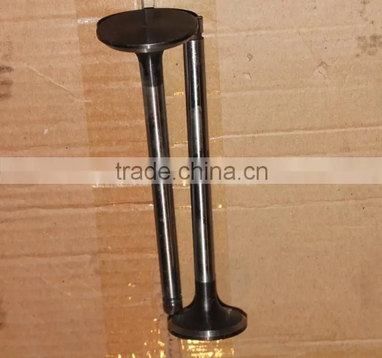 Farm geneator diesel engine spare parts S195 inlet & outlet valve
