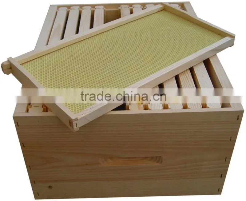 Bees Wax Foundation Sheet