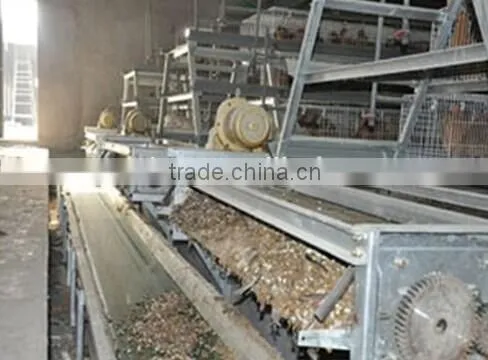 chicken layer cage