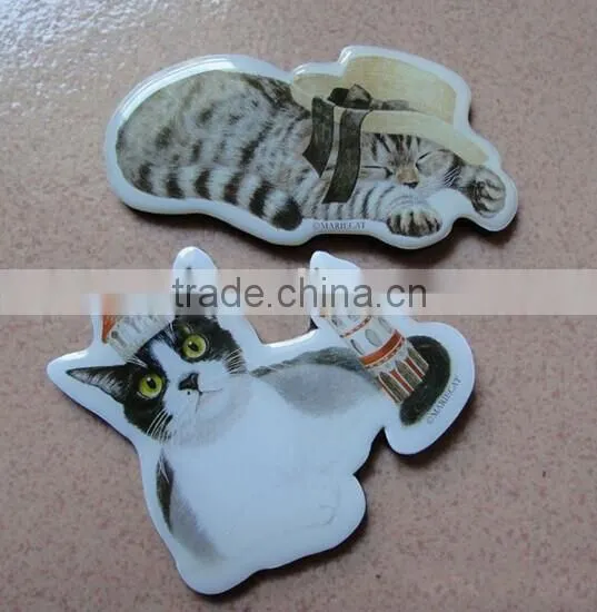 resin fridge magnet,epoxy fridge magnet,creative fridge magnet
