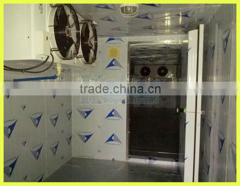 walk in freezer with 12 tons capacity (Cold Room) Koller VCR40