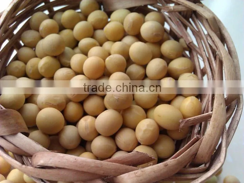 Organic Soybeans( New Crop, Heilongjiang Origin)