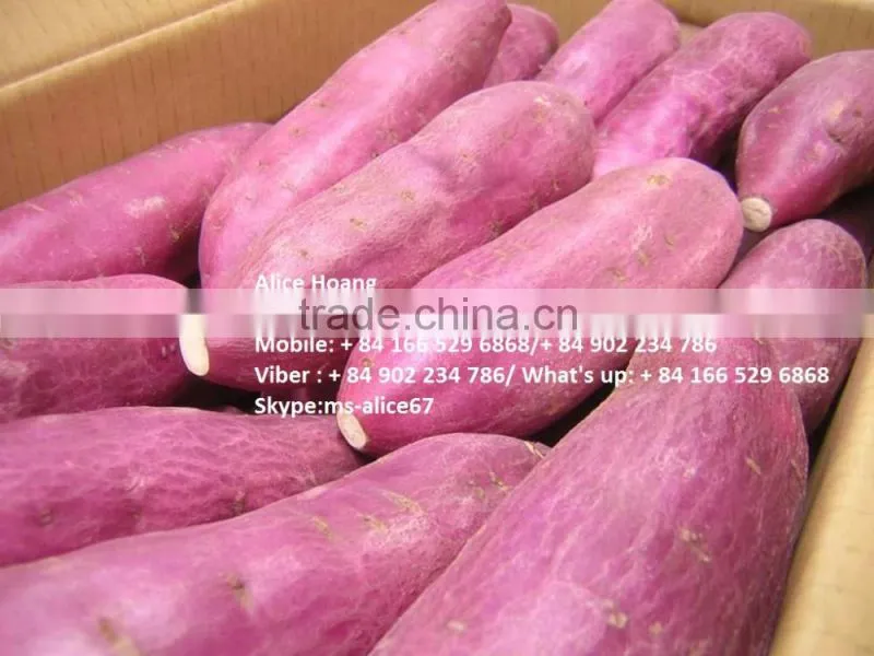 Fleshed sweet potato