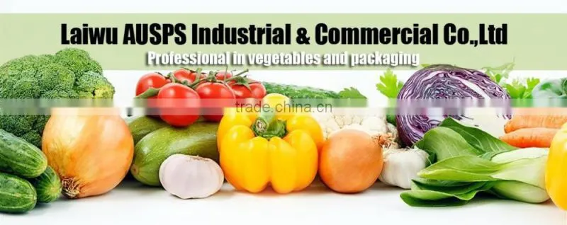 PP drawstring mesh bag for potato vegetables