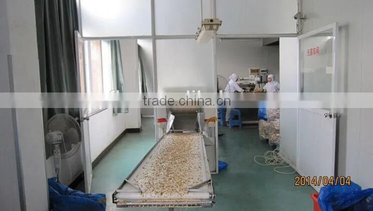 China Natural Organic Whole Piece 0.7*0.7cm Granular Mushrooms