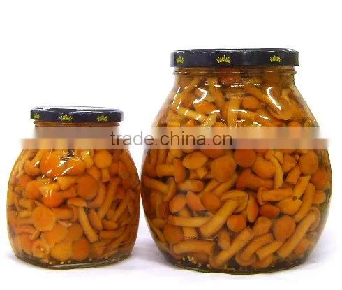 2014new crop Canned Nameko marianted 580ml