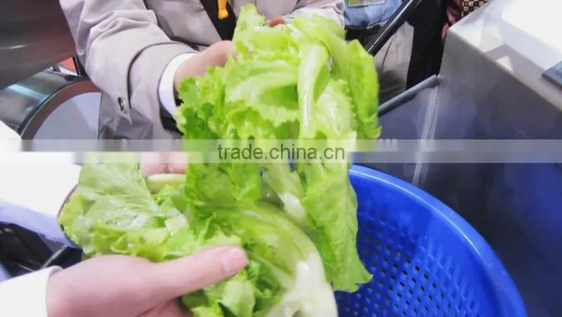 WA-2000 Full Automatic Industrial Ozone Bubble Vegetable And Fruit Cleaner Washing Machine