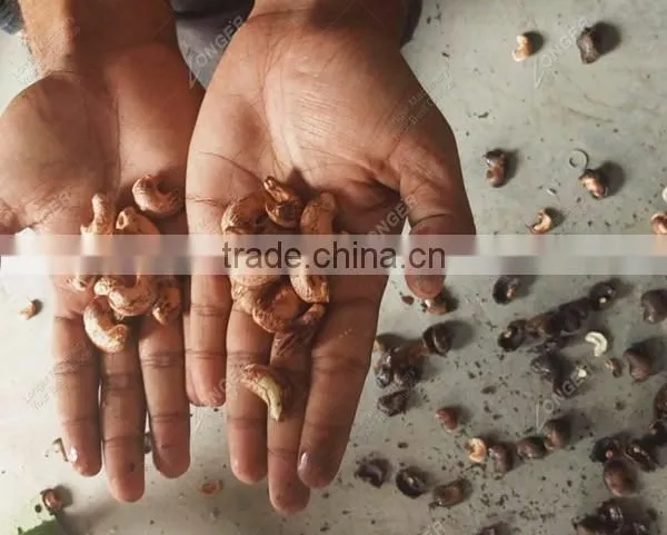 New Professional Designed Cashew Nut Processing Machine price