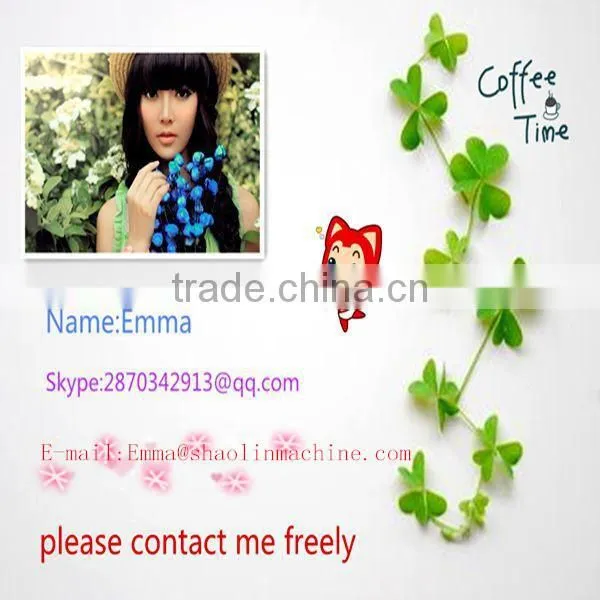 Lowest price chilli grinder machine with best service