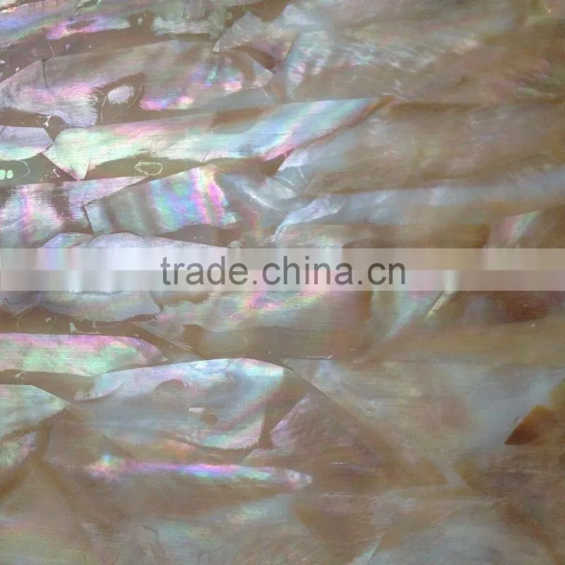 Brownlip mother of pearl shell adesive sheet