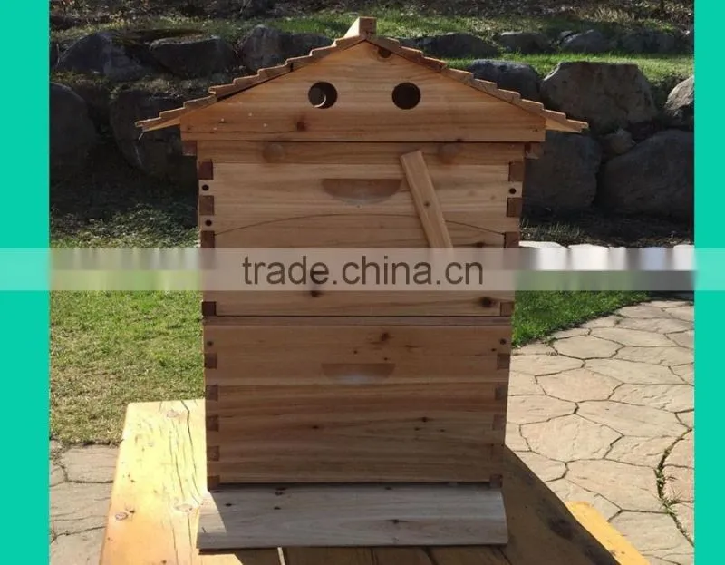 beehive box , super quality flowhive box ,beehive for sale.flowhive with flow frame