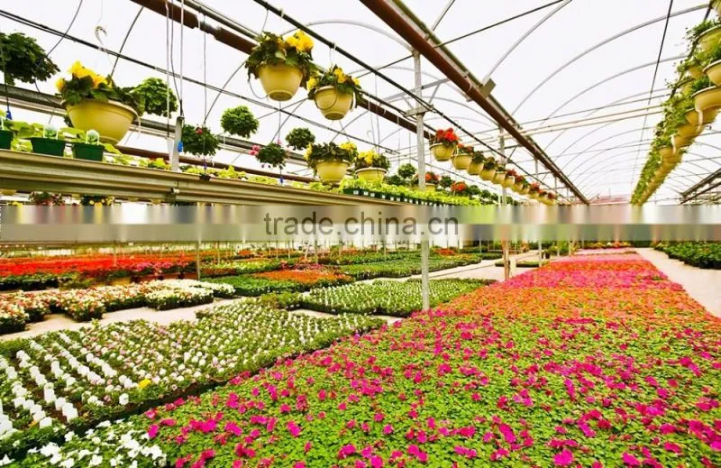 Film greenhouses arch