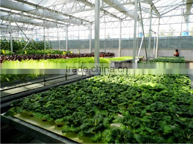 hydroponics growing equipment for sale