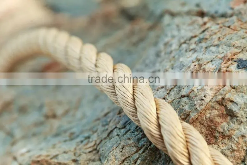 Nylon Dock line