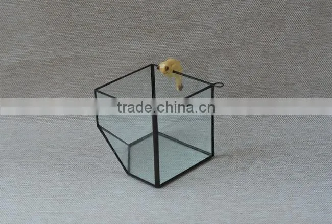 Micro landscape irregular geometric succulent terrariums hanging greenhouse