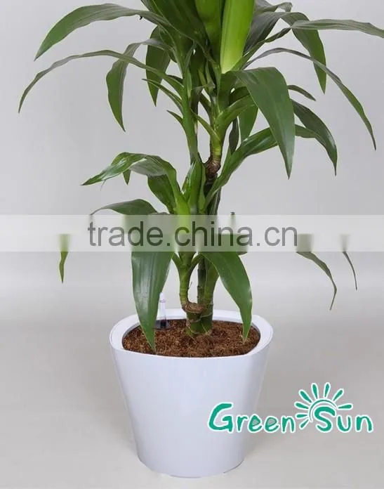 Best sell large outdoor selfwatering plastic flower pot & planter