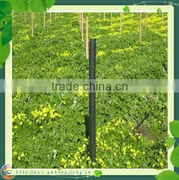 plastic plant round stakes