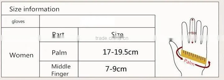 Women Winter Gloves 2016 Female PhoneTouch Screen Outdoor Wrist Mittens