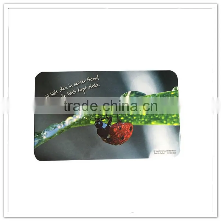 Wholesale printing kitchen accessories melamine plastic cutting board