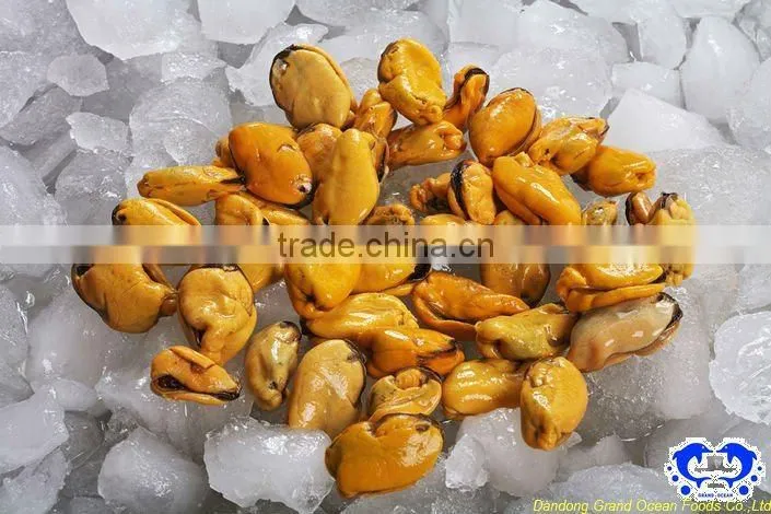 fresh frozen cooked mussel meat seafood