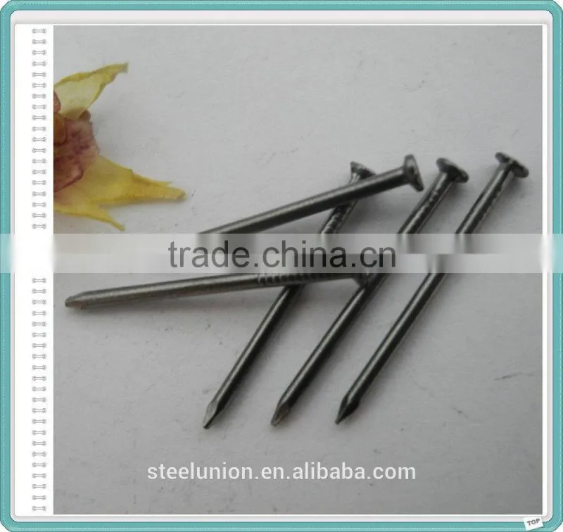 Polished Common Nails Suppliers/Common Iron Nail