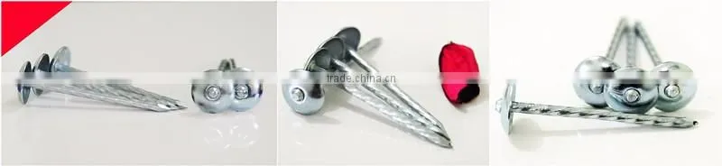 umbrella roofing nails 2.5