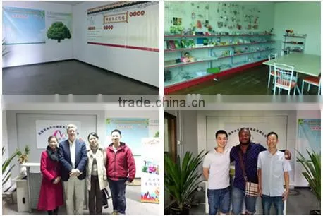 Hot sales environmental bamboo Charcoal products for Air Purification Product