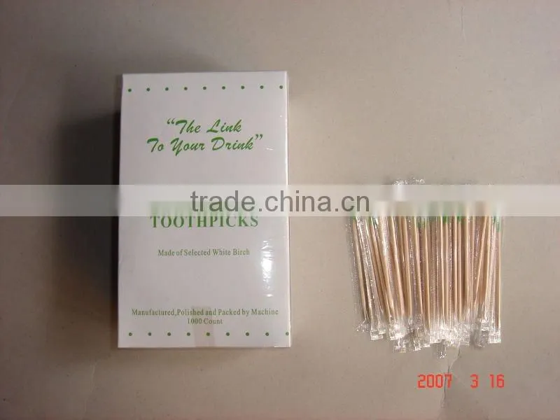Hot sale toothpick with mint