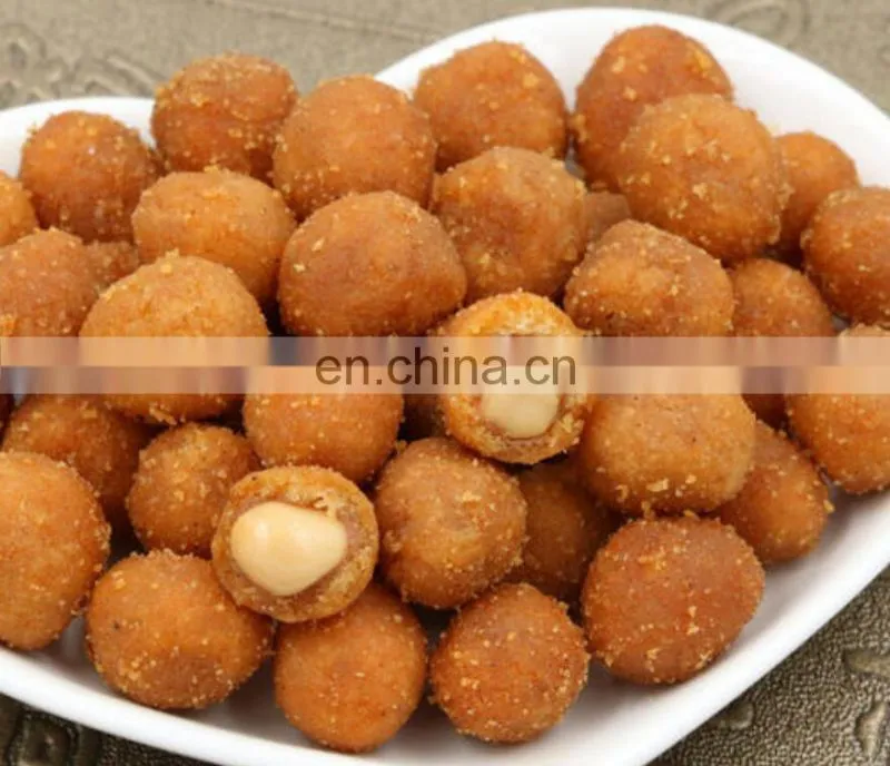 Roasted Seeds And Nuts Roasted Seeds And Nuts Peanut Frying Processing Machine Production Line