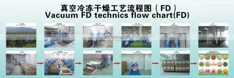 fruit chips Vacuum Freeze Drying Machine