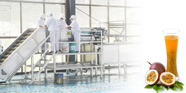 Passion Fruit Pulp Processing Production Line