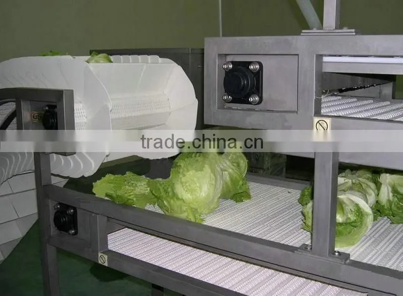 Stainless Steel Fruit Belt Conveyor Price