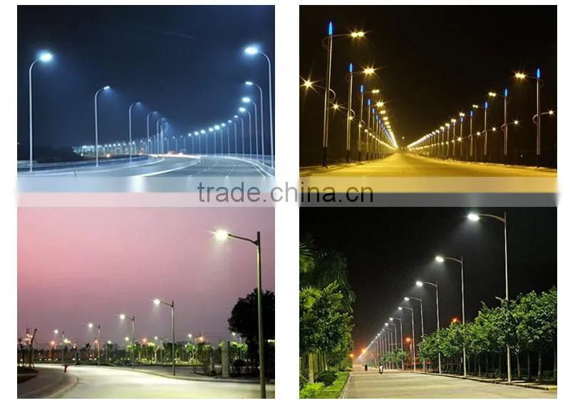 New Design 30W Citizen COB LED Street Lamp