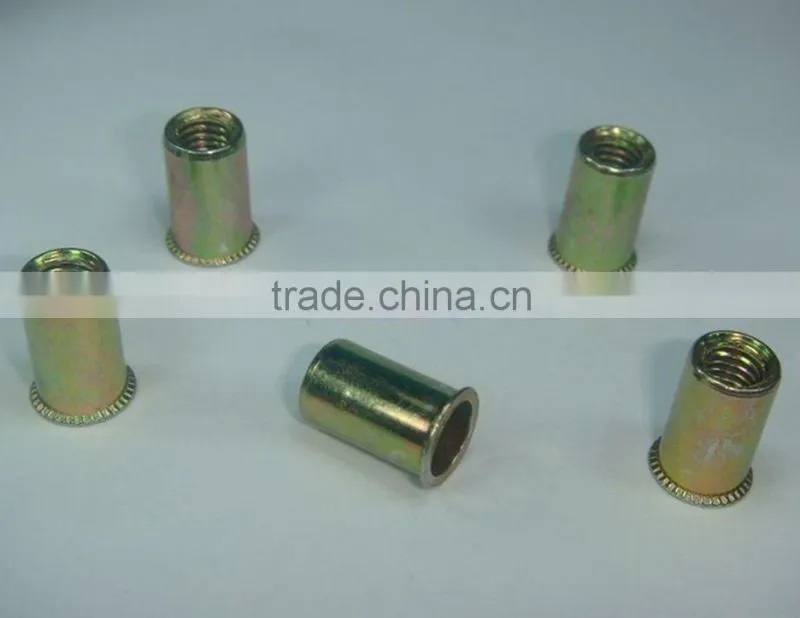 Stainless Steel Button Head Rivet Nut