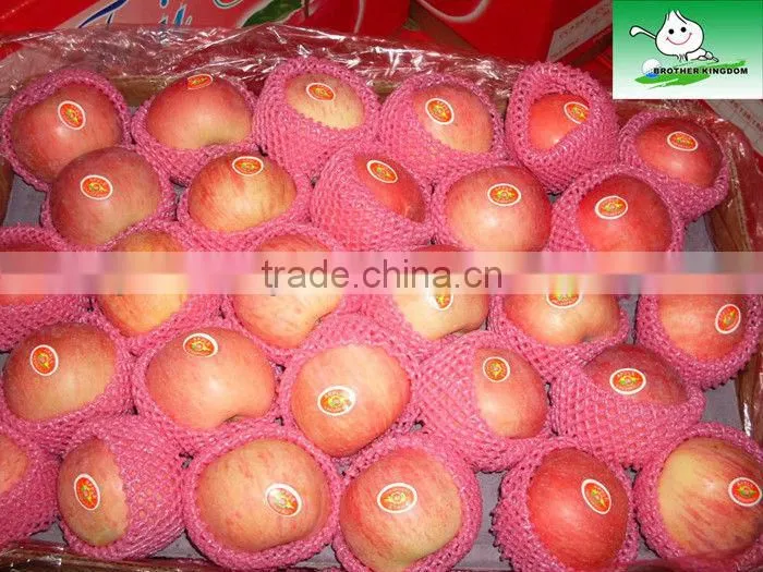Red fresh fuji apple low price/Chinese red fuji apple/Fresh red sweet apple