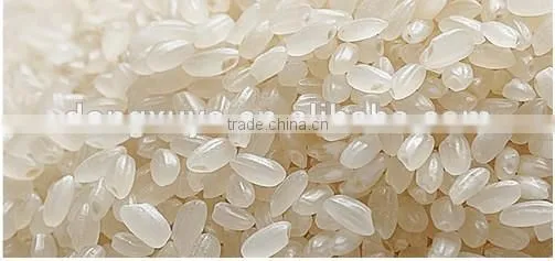 Instant rice/nutritional rice/artificial rice machinery
