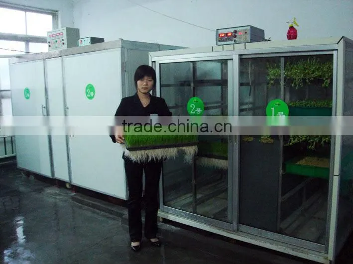 Bean Sprout Machine