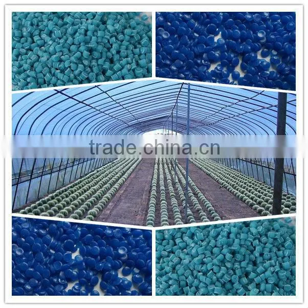 greenhouse film