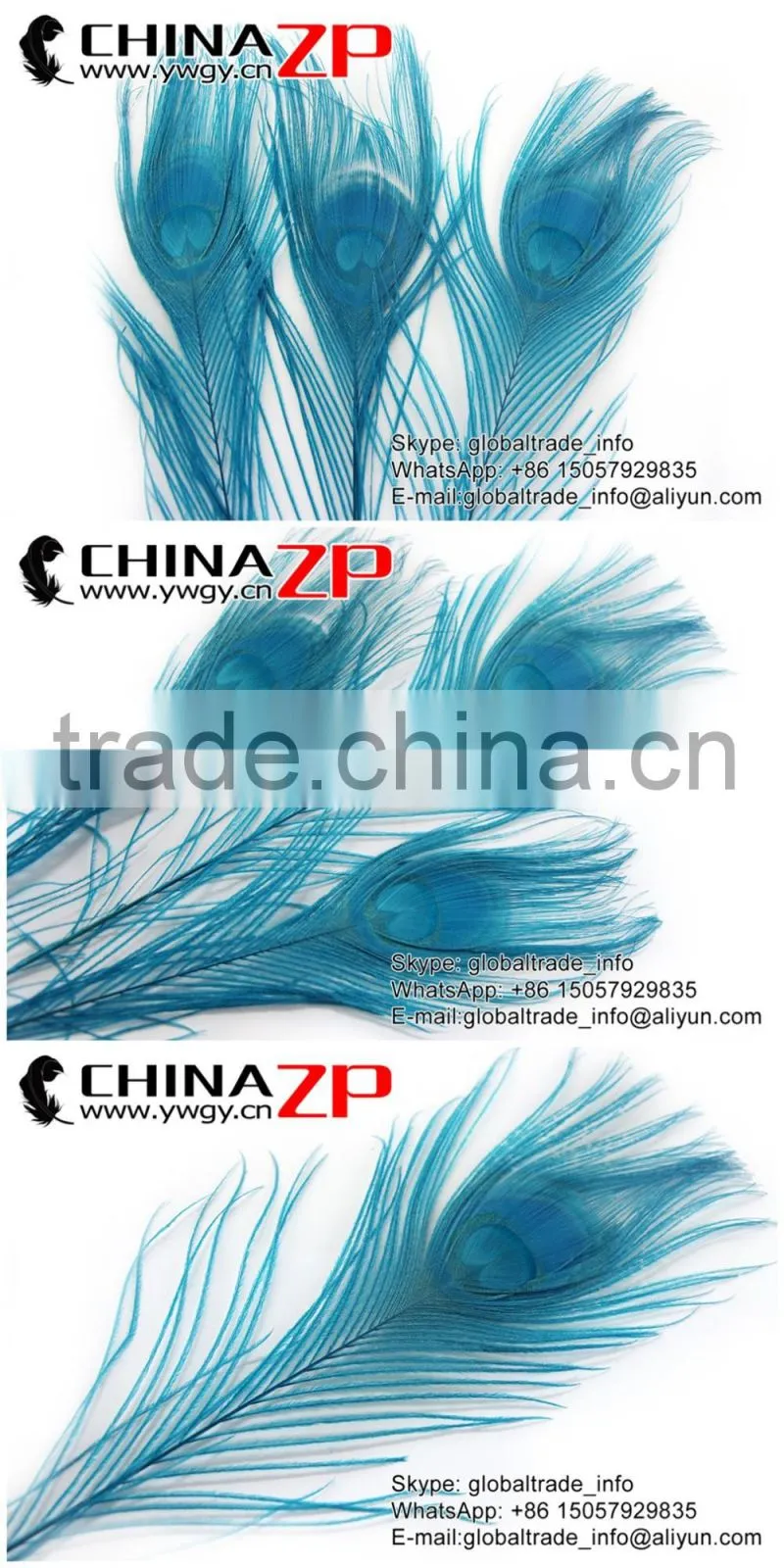 CHINAZP Leading Supplier Wholesale Cheap Full Eye Dyed Turquoise Blue Peacock Tail Feathers for Sale