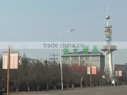 Qingdao Qiangda Foods Co., Ltd. company overview - view 1