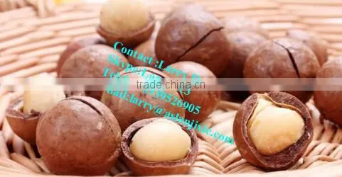 kindal cracking machine/macadamia nut opening machine/bauple nut cracking machine