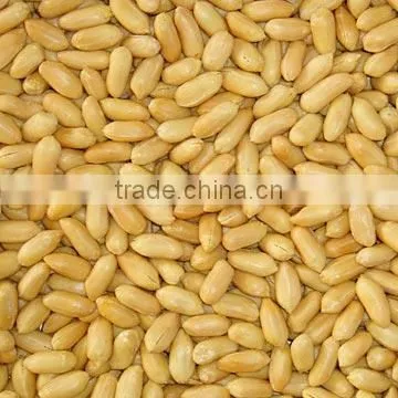 fried salted peanut