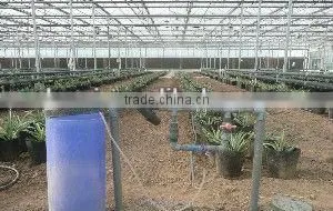 Venturi fertilizer Injector