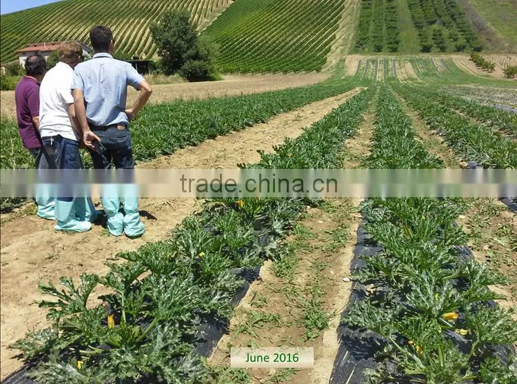 Soluble Humic Acid Power organic Fertilizer price