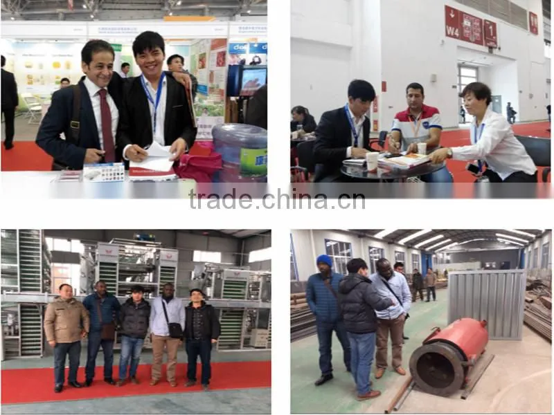 good quality supplier poultry equipment/transport cage for poultry/agricultural equipment